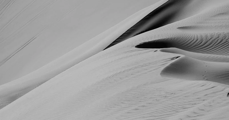 Quand la nature rencontre le minimalisme, l'industriel et le scandinave